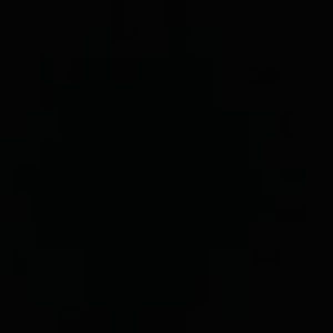 Meet your Posher, Bailey